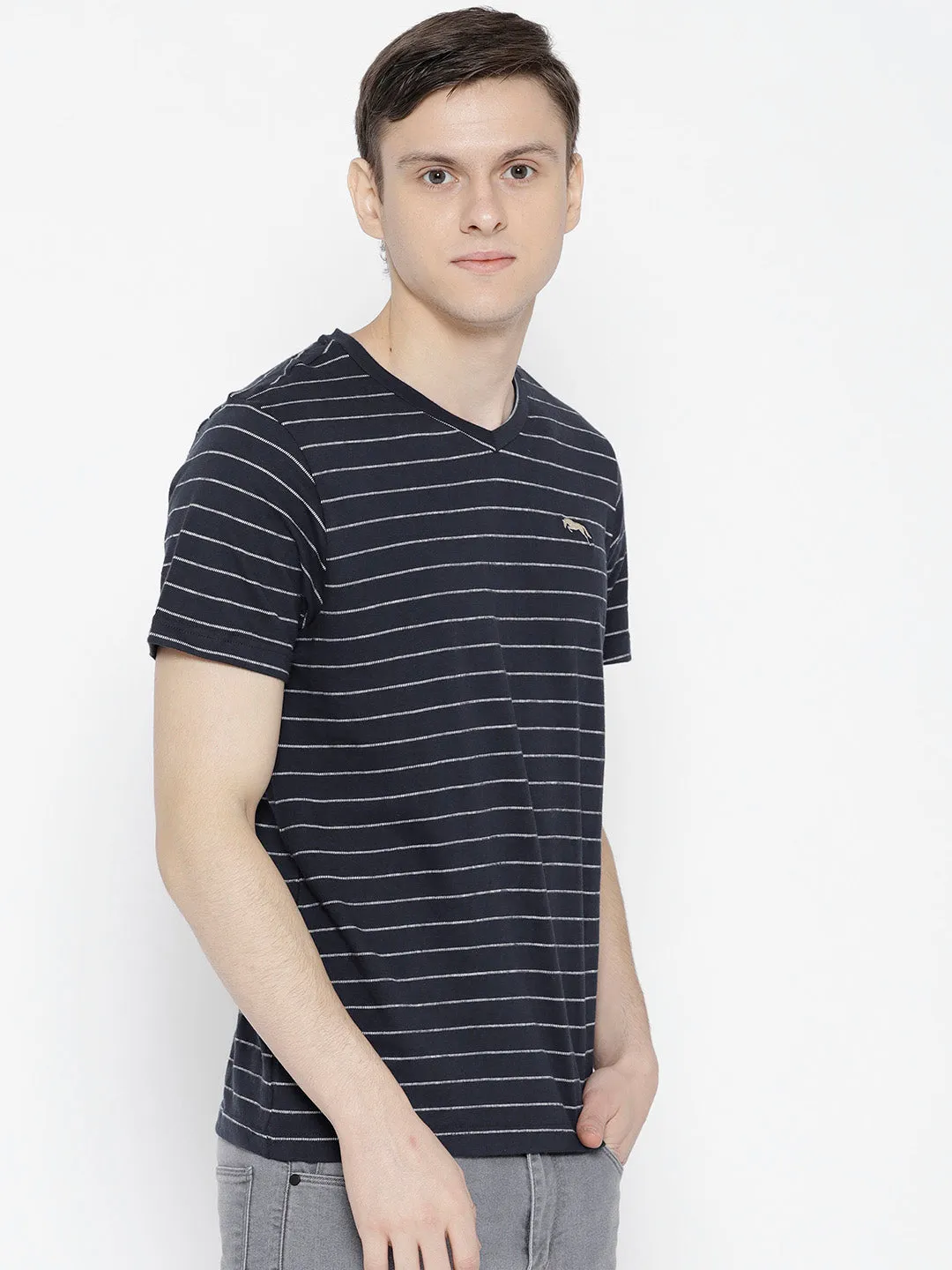 Men Navy Blue Striped V-Neck T-shirt